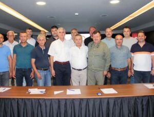 Zeytinde yüzde 50 oranında rekolte kaybı yaşandı