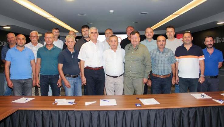 Zeytinde yüzde 50 oranında rekolte kaybı yaşandı