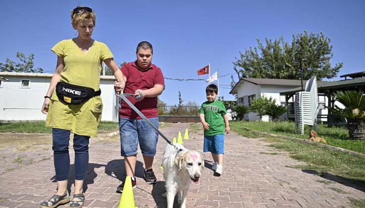 Özel çocuklar sokak hayvanlarını elleriyle besledi