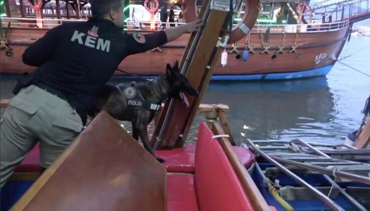 Alanya’da narkotik ekipleri yatlar ve gezi teknelerini denetledi
