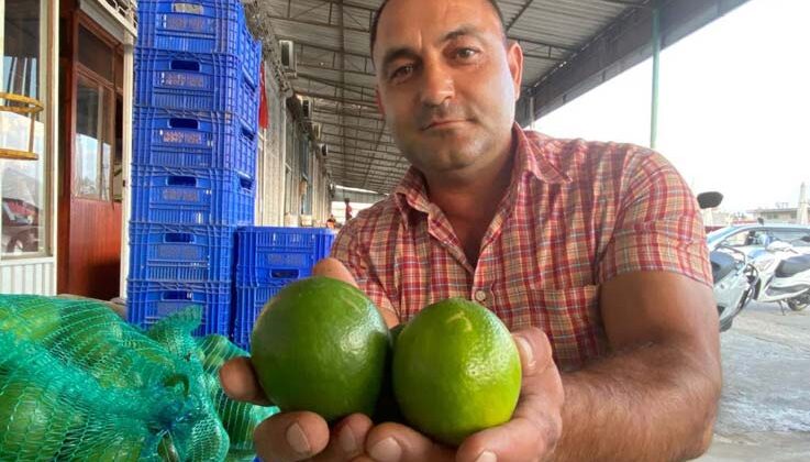 Antalya’da halde limon 3 TL’ye kadar düştü