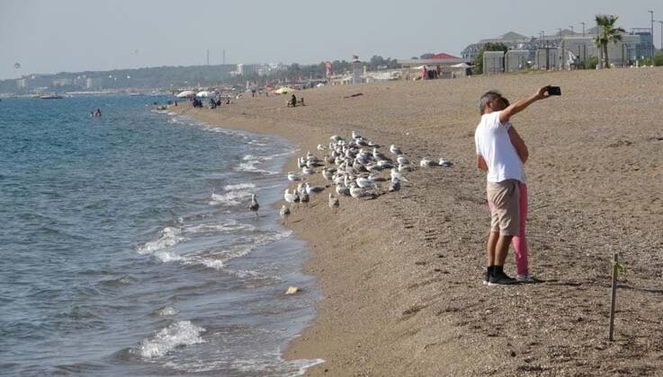 Manavgat sahilleri martı ve diğer deniz kuşlarıyla dolup taşmaya başladı