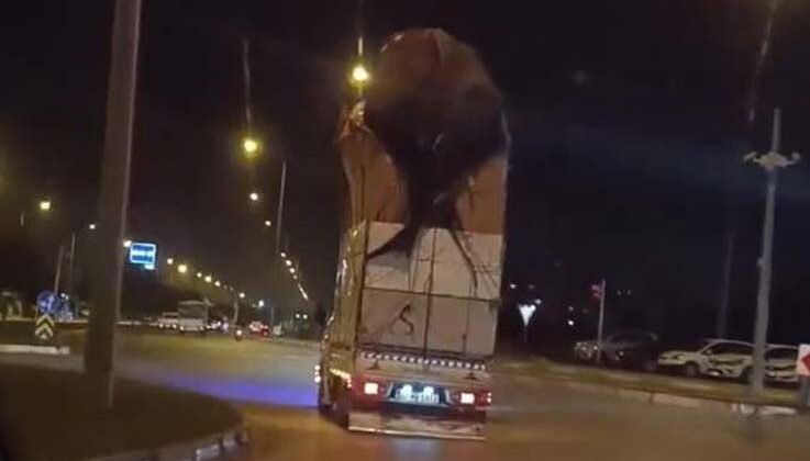 Eve değil, kamyonete 4 kat çıktı: Görenler hayrete düştü
