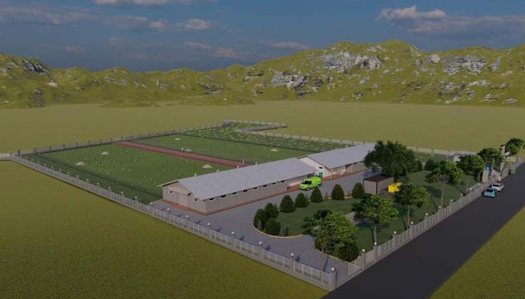 Büyükşehir Belediyesi Elmalı’ya serbest gezen tavuk çiftliği kuruyor