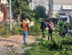 Büyükşehir ekiplerinin fırtına mesaisi