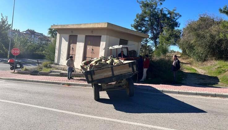 Trafoya çarpan traktörün sürücüsü yaralandı