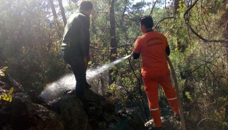 Ormanlık alanda çıkan yangın kontrol altına alındı