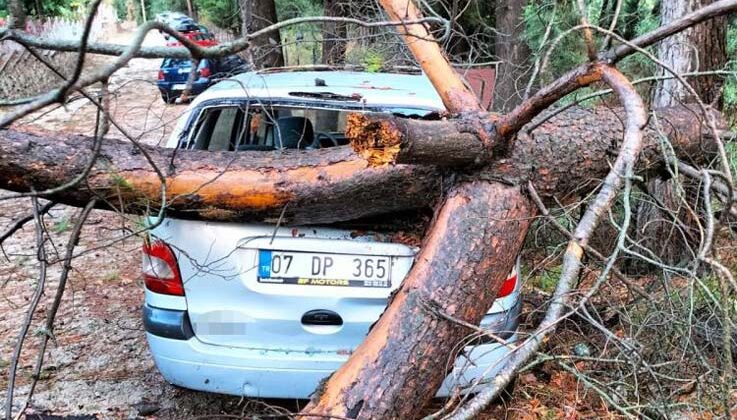 Kemer’de fırtına ağaçları devirdi ağaçlar zarar gördü, totemler fırtınaya dayanamadı