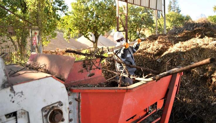 Bitki atıkları vatandaşlar ve çiftçilere yakıt olarak dönecek