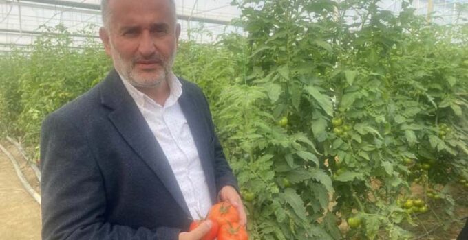 Yerli ve milli 50 çeşit hibrit tohumu 35 ülkeye ihraç ediyor