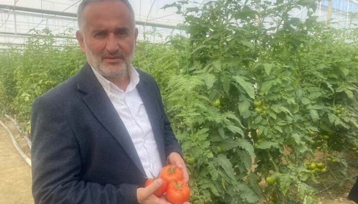 Yerli ve milli 50 çeşit hibrit tohumu 35 ülkeye ihraç ediyor