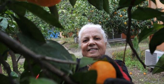 Çocukları gibi baktığı bahçesindeki meyvelerini yetim ve öksüz çocuklara gönderiyor