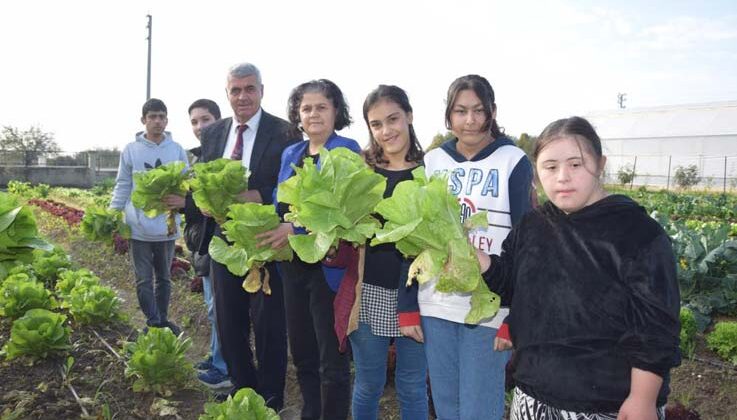 Özel öğrenciler, tarım lisesi öğrencilerinin ürettikleri mantarları ve sebzeleri birlikte topladı