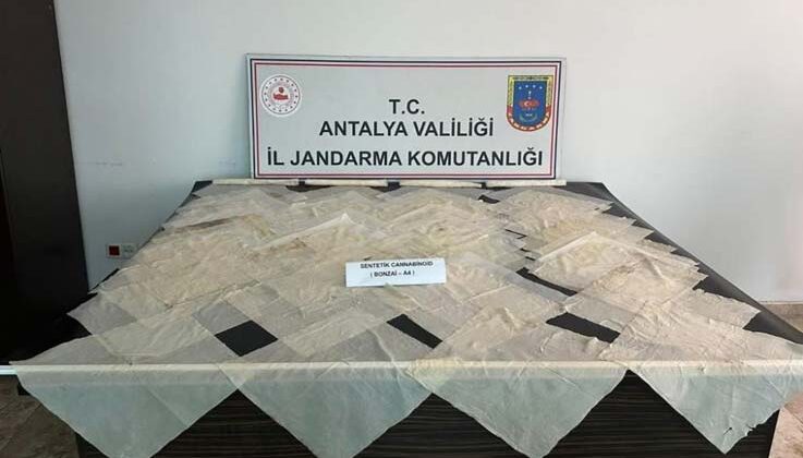 Piyasa değeri 2 milyon TL olan bonzai ele geçirildi