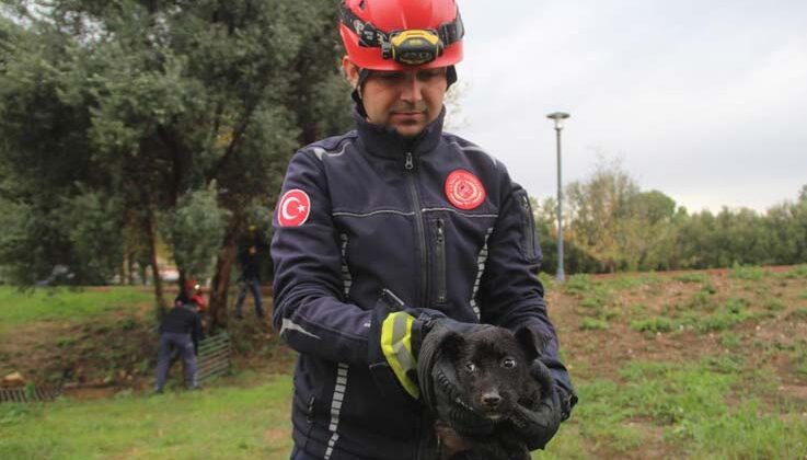 İtfaiye erinden su borusundaki köpeğe kahramanca kurtarış