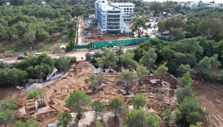 Çam ağaçlarını kesip yerine egzotik ağaçlar diken 5 yıldızlı otel için suç duyurusu