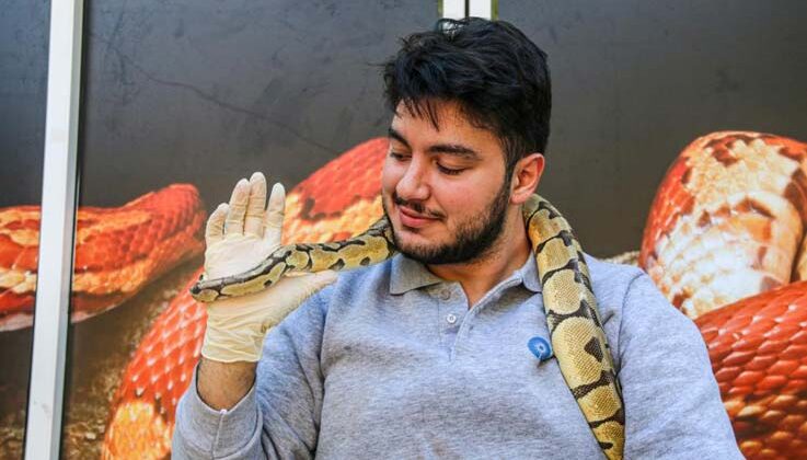 Mahalleye korku salan kral pitonunu boynuna dolayıp seviyor