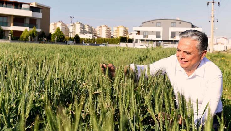 Muratpaşa Gıda Politika Rehberi geliyor