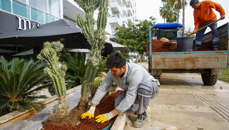 Antalya Büyükşehir Belediyesi, şehri renklendiriyor