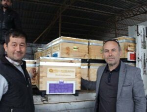 Kemer’de arı üreticilerine kovan desteği