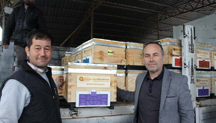 Kemer’de arı üreticilerine kovan desteği