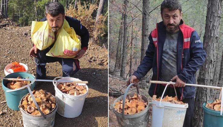 Mevsiminde topladığı mantarları satarak ayda yaklaşık 90 bin lira kazanıyor