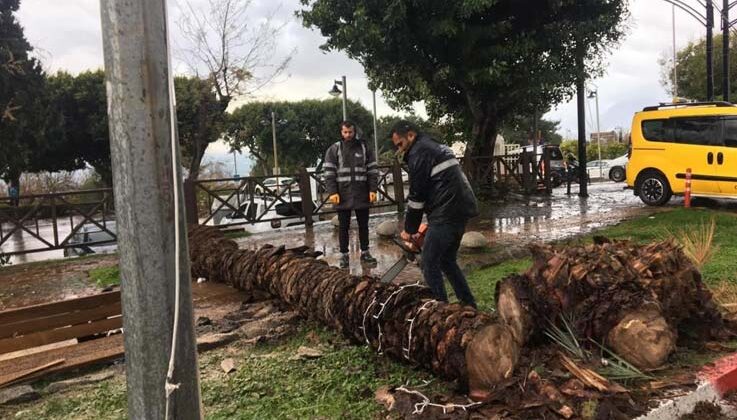 Büyükşehir fırtına için seferber oldu