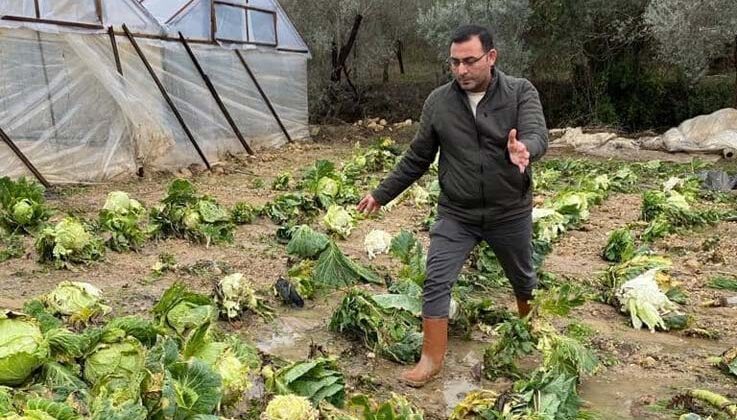 Alanya’da sağanak yağış sera ürünlerine hasar verdi