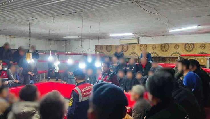 Jandarmadan horoz dövüşü baskını