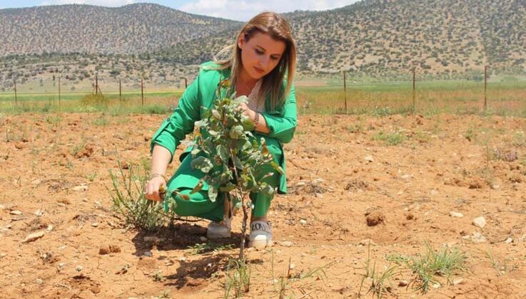 Fide, fidan, tohum destekleriyle ekonomik kayıplar önlendi