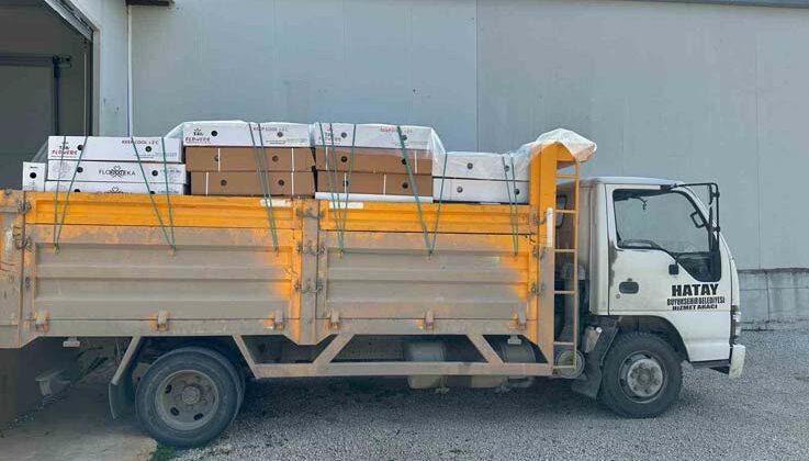 Depremde hayatını kaybedenler kırmızı karanfille anılacak