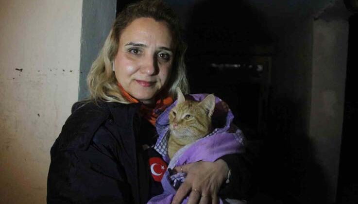Sel suyuyla dolu bodrum katta ölümü göze alıp kedisini kurtaran kadın o anları anlattı