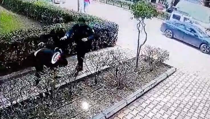 Çaldığı köpeğin sahibine ve polise bıçak çekti, gözaltına alındı