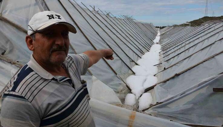 Alanya’da dolu yağışında seraları zarar gören üreticiye naylon desteği verilecek