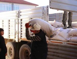 Büyükşehirden, 68 üreticiye 2061 çuval daha süt yemi desteği