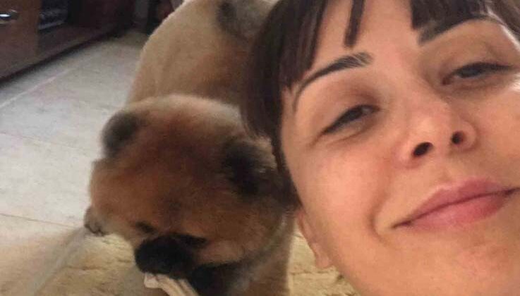 Pandemide sahiplenmesi için verdiği köpeği geri alıp vermedi, mahkemeden emsal karar çıktı