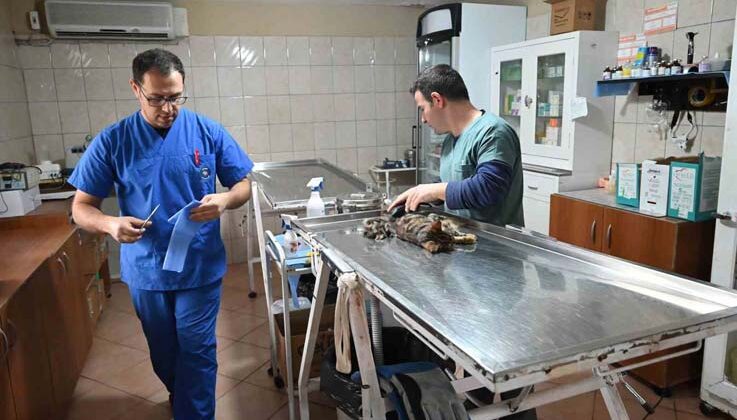 Kemer Belediyesinden “can dostlarına” yardım eli