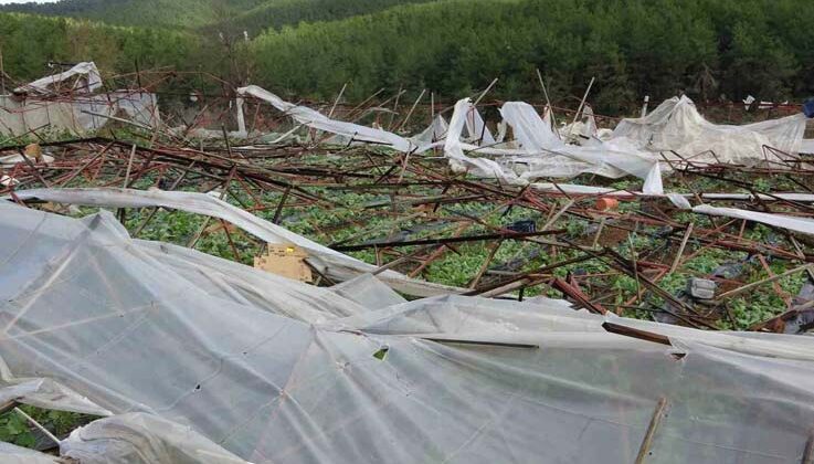 Alanya’da hortum 250 dönümden fazla seraya zarar verdi