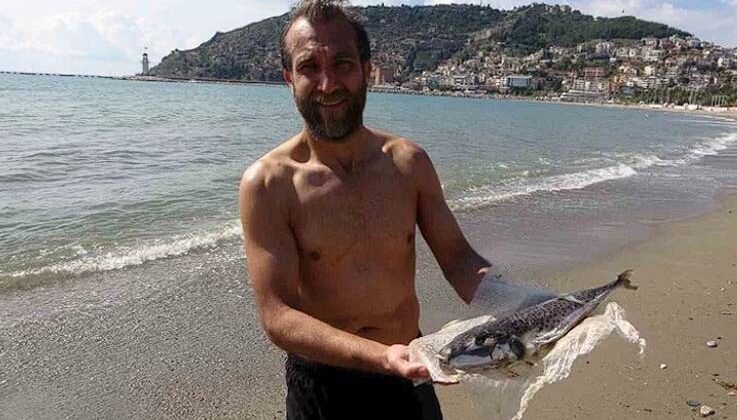Alanya’da denize girmek isteyen vatandaşa balon balığı sürprizi