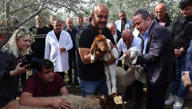 10 kuzusu telef olan çiftçiye, kamyonet dolusu çifte mutluluk
