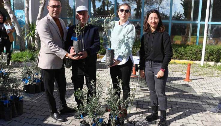 Antalya Büyükşehir Belediyesi’nden Serikli çiftçilere 700 zeytin fidanı