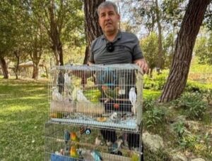 Antalya’da papağan operasyonu: 41 papağan ele geçirildi