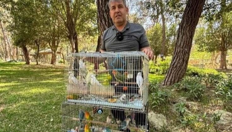 Antalya’da papağan operasyonu: 41 papağan ele geçirildi