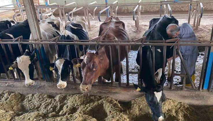 Akdeniz Üniversitesi, Antalyalıların gıda ihtiyaçlarını karşılayacak