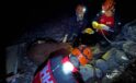 Alanya’da kamyondan düşen dana 400 metrelik uçurumdan kurtarıldı