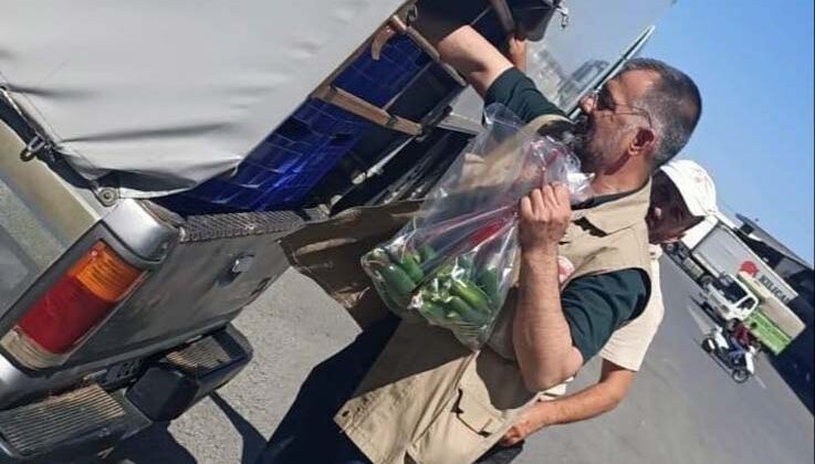 Gazipaşa’da pestisit denetimi yapıldı