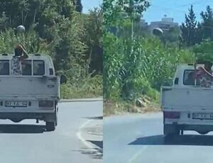 Elde kalan karpuzları tekmeyle kamyonet kasasından yola fırlattı