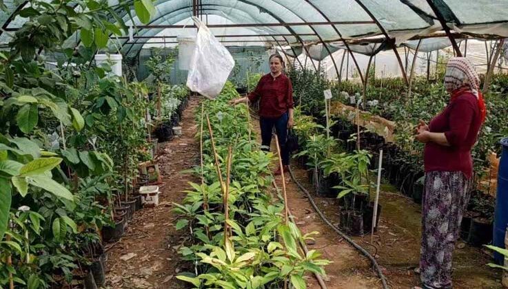 Gazipaşa’da fidan satıcıları denetlendi