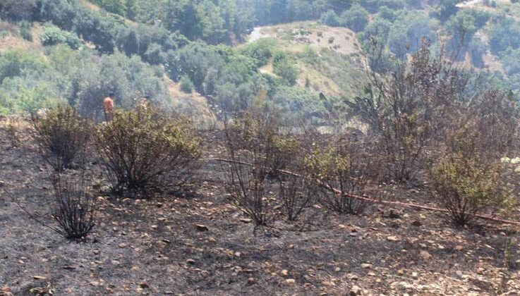 Alanya’da otluk olan yangını itfaiye ekiplerince söndürüldü