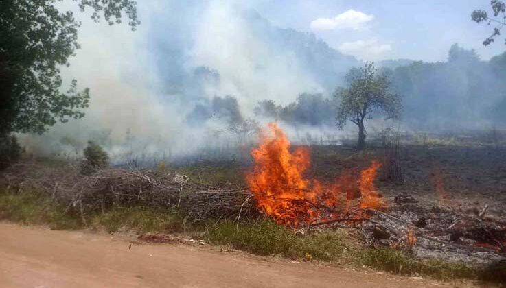 Ormanlık alanda çıkan yangın büyümeden söndürüldü